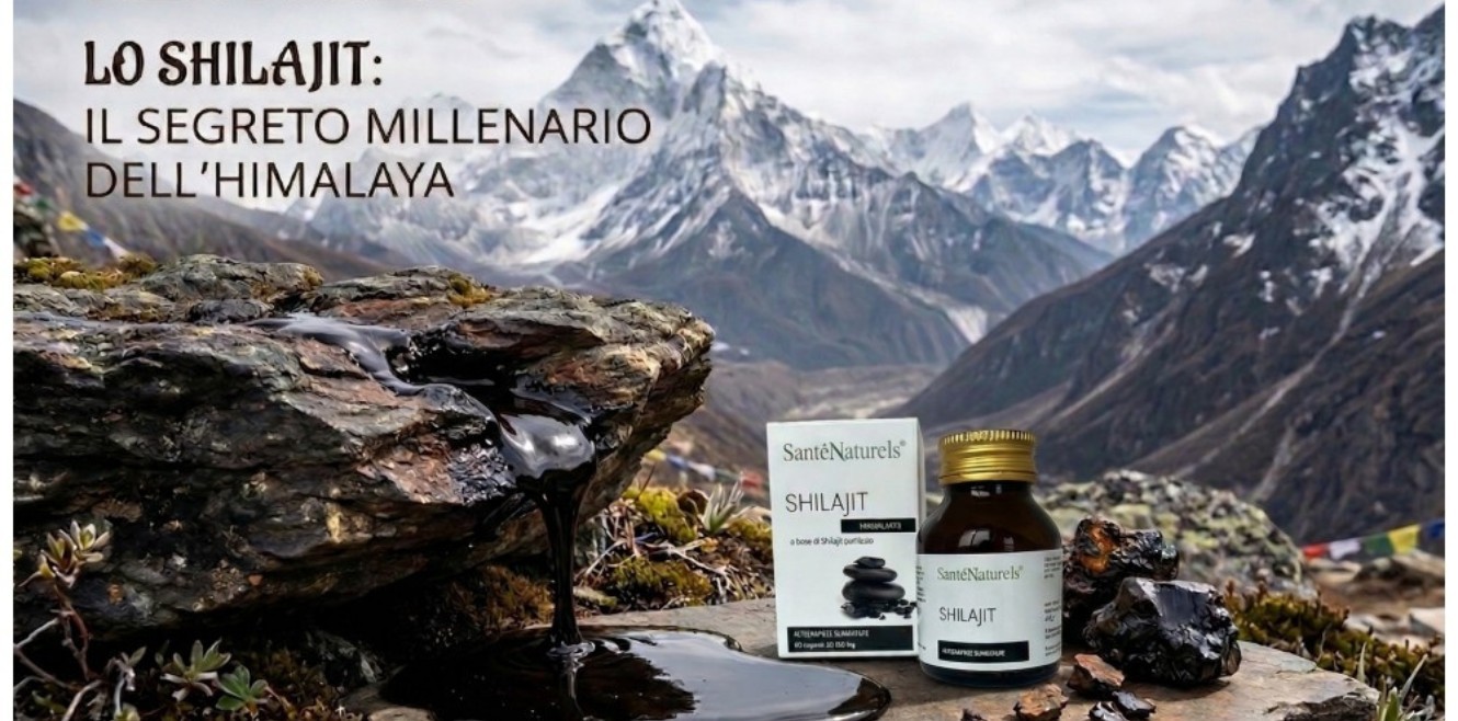 Shilajit cos’è, benefici e proprietà: guida completa Ayurveda